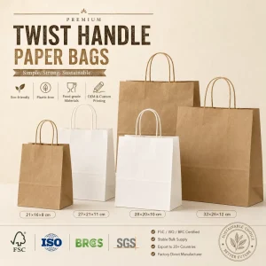 Twisted Handle Paper Bag Bulk Recyclable Kraft Shopping Bag Custom Logo for Chain Bakery Restaurant Packaging Supply
