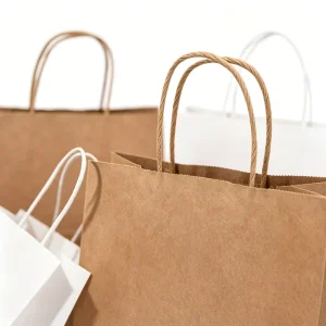 Two Colors Blank Kraft Gift Bags Twisted Paper Handles Customizable Logo for Boutique Store Wedding Present Bulk Packaging