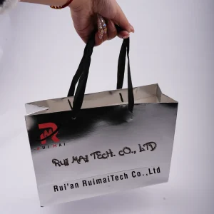 Waterproof Tear Resistant Eco Friendly Recyclable Biodegradable Personalized Silver Color Luxury Paper Bag Handles for Clothing
