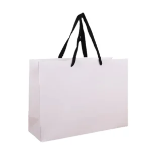 White Biodegradable Paperboard Shopping Bags with Custom Logo for Supermarket Promotional Use
