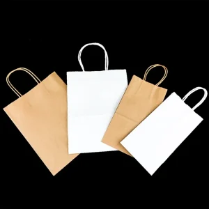 White and Brown Classic Recyclable Kraft Paper Twisted Handle Shopping Carrier Bag for Supermarket Promotion with Custom Logo