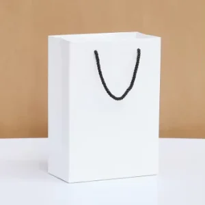 Wide Base Heavy Duty Recyclable Kraft Paper Bag with Twisted Handle for Retail Mall Shopping