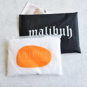 Zip Lock Biodegradable Custom Printed Logo Clear PVC Jewelry Frosted Plastic Bag T Shirt Packaging Zipper Bags for Clothing